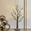 2ft LED Birch Tree Warm White Indoor Decor Light 7