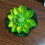 6Pcs Artificial Floating Flower with Leaf Pad,-Milky White 5