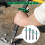 Cements Stone Splitters Chrome Vanadium Steel Masonry-6 inches 4