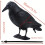 Dummy Crow Bird Repellent 2