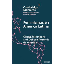 Feminismos en America Latina by Debora Rezende Universiade de Brasilia