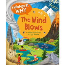 I Wonder Why The Wind Blows by Anita Ganeri Paperback Book