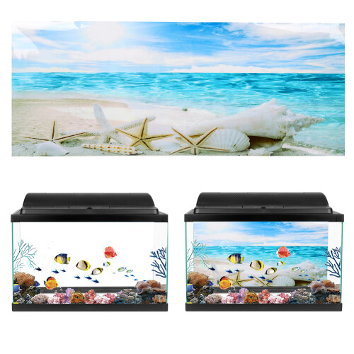 Dekorativer Seestern Aquarium Poster PVC-Aufkleber 91x50cm Querformat 2