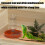 Multifunctional Reptiles Tanks System With Pump And-S satsuma 3