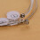 6 String Acoustic Set DUS-010 - Bright Tone Soft Play Silver Wound 4
