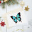 Butterfly Display Doos Eva Speldkussen Voor En Specimens 7