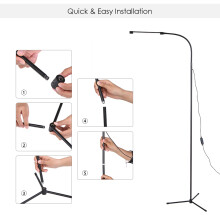 Dimmable USB Floor Lamp LEDs, 3 Color Temperatures, 10 Brightness Levels, Black