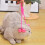 Pet Cat Massager Body Enhances Blood-Silicone roller 4