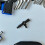 Telescópico Accesorio Extensible Limpieza Rascador 5