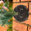 Cover Traspirante Per In Sganciabile 4