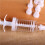 Cookie Press Mould Nozzle Baking Tools Shop Hotel Party Beginners 4
