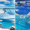Lightweight Brush Tool for Pool Walls Floors and Tight Corners 8