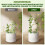 Artistic Sun Catchers Plant Stands With Durability Frame For 4