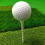 50 Schaalontwerp Golf Houders Van Hout 7