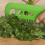 Εργαλείο απογύμνωσης φύλλων βοτάνων Green Kitchen, κατασκευασμένο από πολυανθρακικό 4