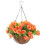 In Hängekorb Hängeblumenkorb Gartenkorb 11