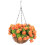 In Hängekorb Hängeblumenkorb Gartenkorb 9