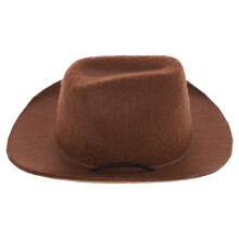 2Stück Haustier Cowboyhut Für Halloween Kostümzubehör
