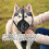 Black Soft Mesh Dog Muzzle Breathable Polyester Pet Mouth Cover 9