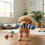 Squeaky Interactive Pet Toy Sock Shape Plush Dog Chewable-E 6