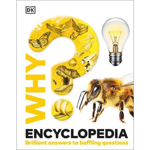 Why Encyclopedia by DK Hardcover Book