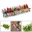 Vibrant 24pcs Simulation Foam Bird Decorations for Wedding & Party Décor 1