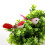 Vibrant 24pcs Simulation Foam Bird Decorations for Wedding & Party Décor 4
