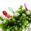 Vibrant 24pcs Simulation Foam Bird Decorations for Wedding & Party Décor 7