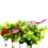 Vibrant 24pcs Simulation Foam Bird Decorations for Wedding & Party Décor 2