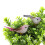 Vibrant 24pcs Simulation Foam Bird Decorations for Wedding & Party Décor 6