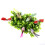 Vibrant 24pcs Simulation Foam Bird Decorations for Wedding & Party Décor 5