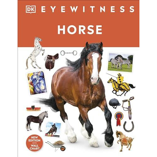 Horse by DK Hardcover Book