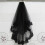 2Pcs Black Lace Wedding Veil Mesh Fabric Double Layer Veil for Brides 5