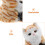Portapenne Da Scrivania A Forma Realistico In Peluche 6
