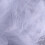 Witte Net Bed Canopy 4 Met Fijne Polyester Bescherming 11