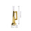15 In Per Sportivi 2