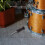 Conjunto Suporte Parede Inoxidável Instrumentos 5