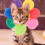 Chapéu De Para Adereço Floral Pet 8