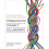 An Introduction to Human Communication by Joy L. Hart Paperback Book 1