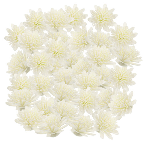 200 Pezzi Fiori Per Diffusore,