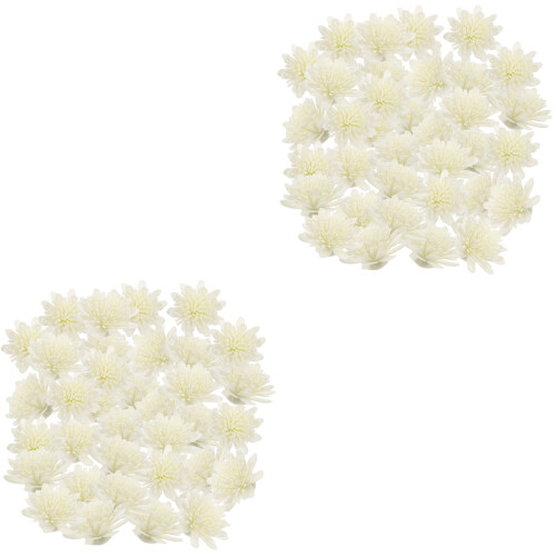 200 Pezzi Fiori Per Diffusore, 2