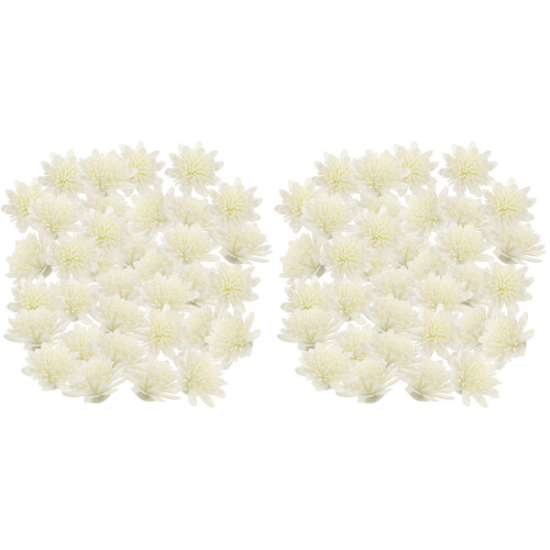 200 Pezzi Fiori Per Diffusore, 1