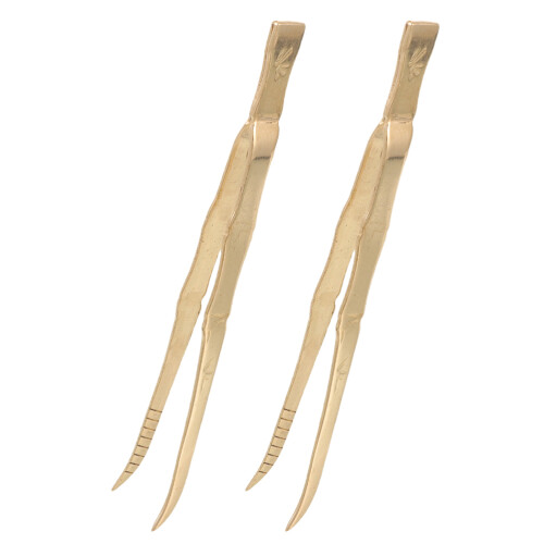 2 Pezzi Pinze In Ottone Per E Carbone