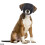 1 Máscara De Ojos Para Mascotas Con Protección Solar 9