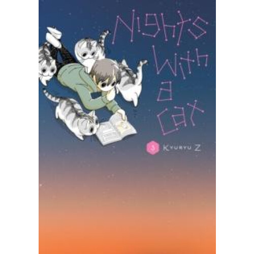 Nights with a Cat Vol. 3 by Stephen Paul Paperback Book