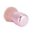 Portable Handle Makeup Brush, Fiber Wool, Oblique/Round Head, Soft Face Tool 4