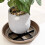 20pcs Ventilated Flower Pot Bases Leakproof Durability-20cm 7