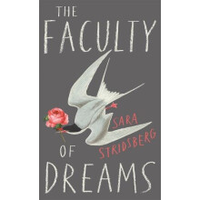 The Faculty of Dreams by Sara Stridsberg Paperback Book