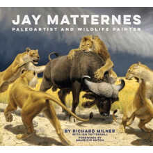 Jay Matternes by Richard Milner Hardcover Book