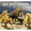 Jay Matternes by Richard Milner Hardcover Book 1